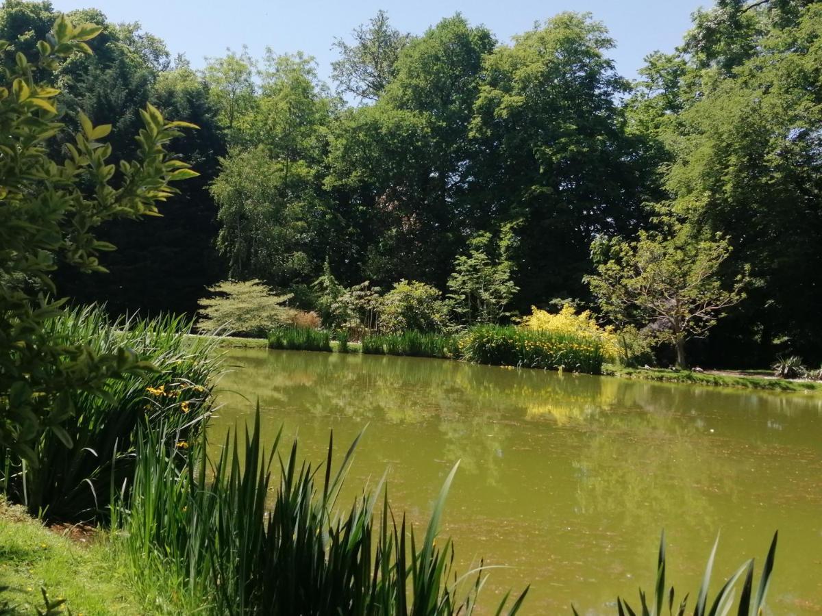 Chambre E Andre Le Domaine Des Jardins De Bracquetuit Exterior photo